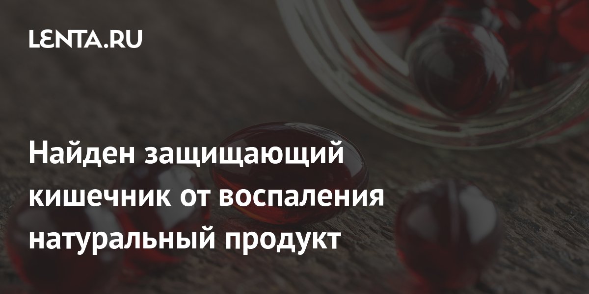 Найден защищающий кишечник от воспаления натуральный продукт