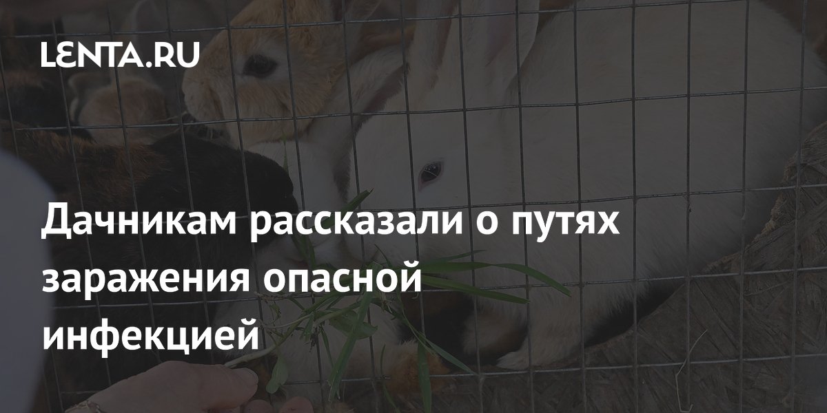 Дачникам рассказали о путях заражения опасной инфекцией