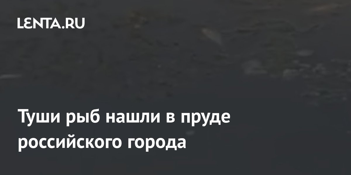 Туши рыб нашли в пруде российского города