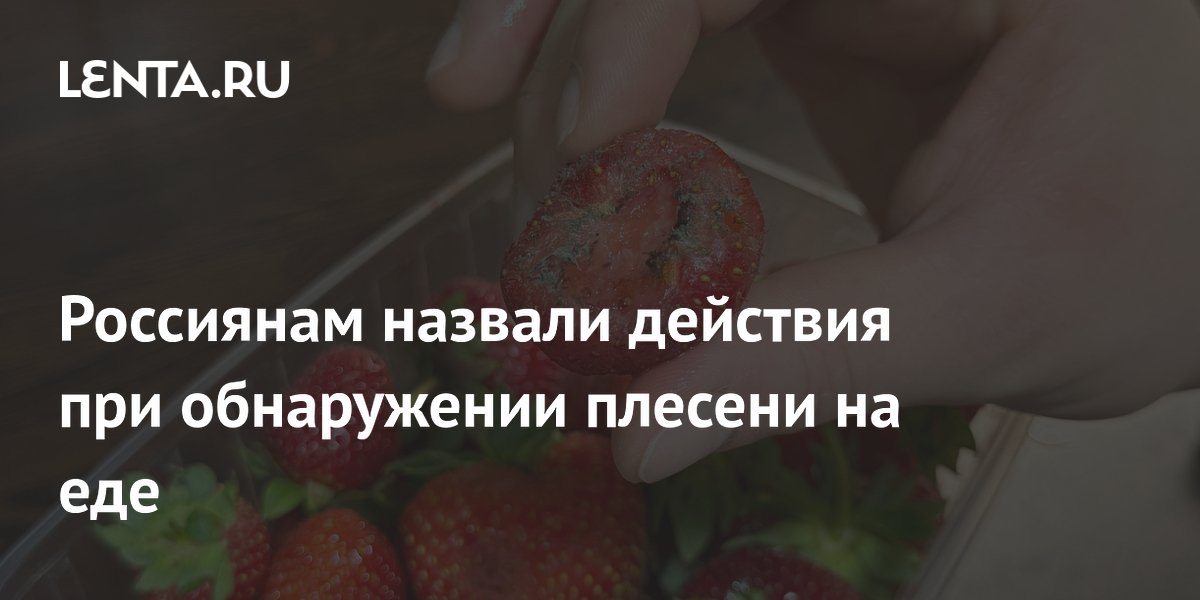 Россиянам назвали действия при обнаружении плесени на еде