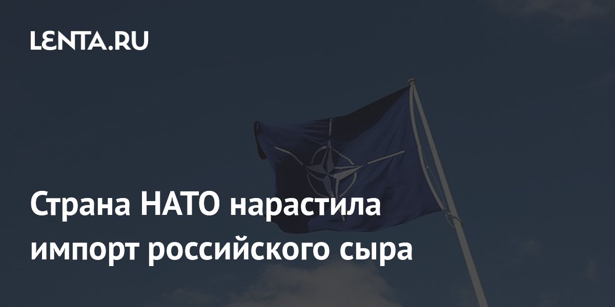 Страна НАТО нарастила импорт российского сыра
