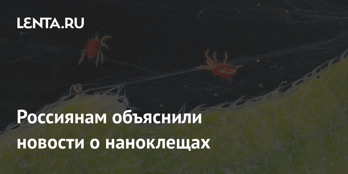 Россиянам объяснили новости о наноклещах