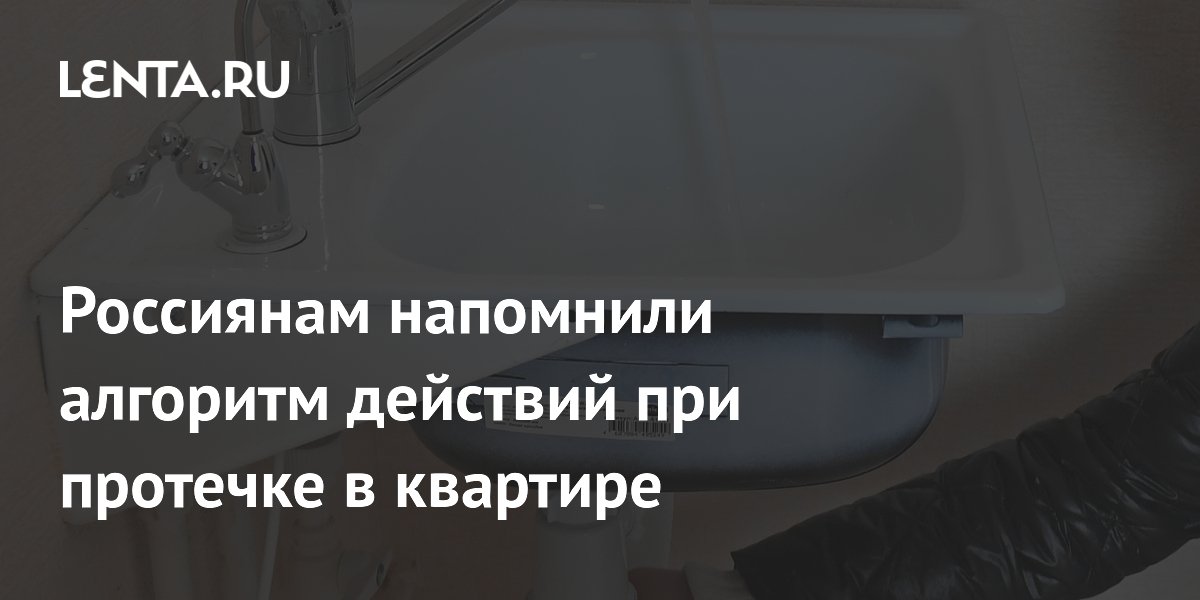 Россиянам напомнили алгоритм действий при протечке в квартире