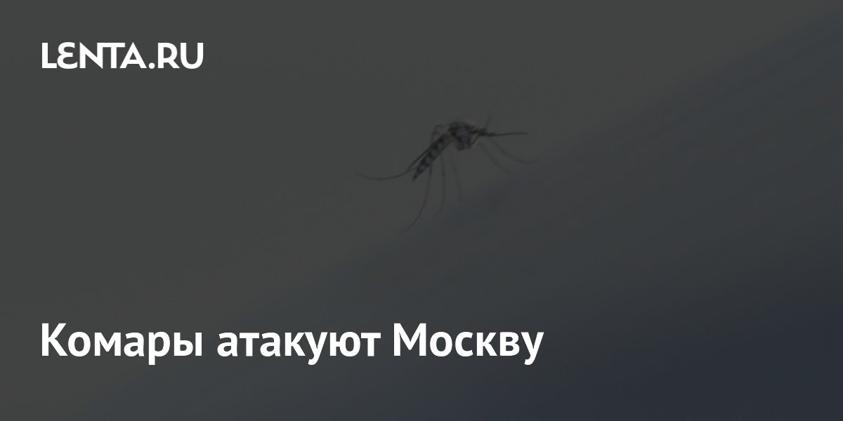 Комары атакуют Москву