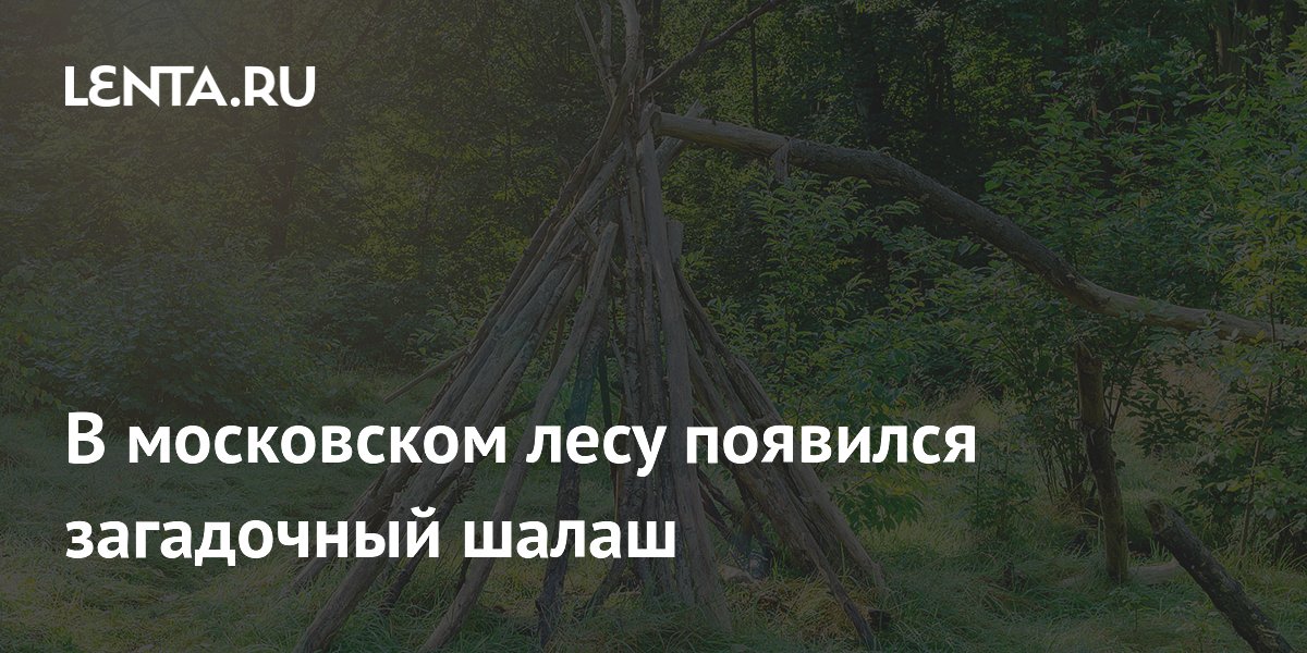 В московском лесу появился загадочный шалаш
