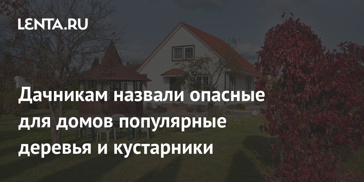 Дачникам назвали опасные для домов популярные деревья и кустарники