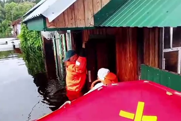 Вводная картинка