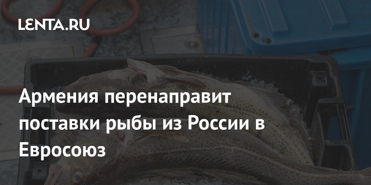 Армения перенаправит поставки рыбы из России в Евросоюз