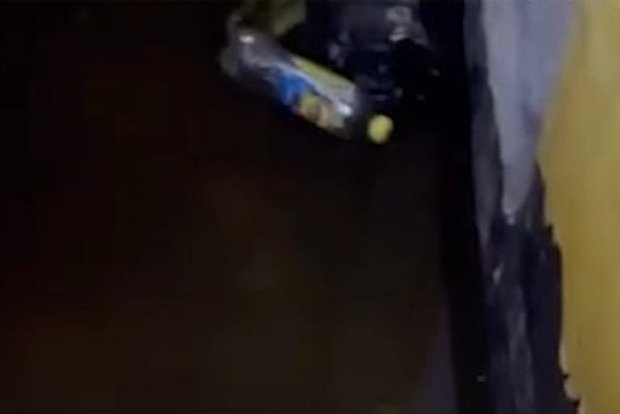 Вводная картинка