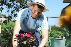owl_detail_240_4adddf5828a417ae886dd7596344e6d7.jpg