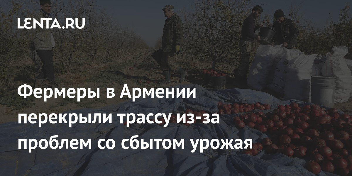 Фермеры в Армении перекрыли трассу из-за проблем со сбытом урожая