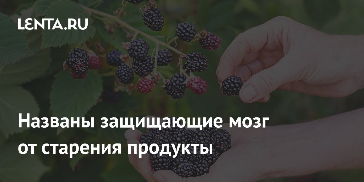Названы защищающие мозг от старения продукты