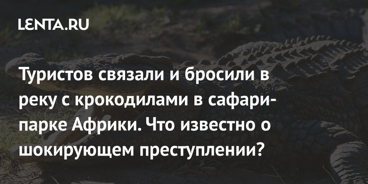 Туристов связали и бросили в реку с крокодилами в сафари-парке Африки. Что известно о шокирующем преступлении?