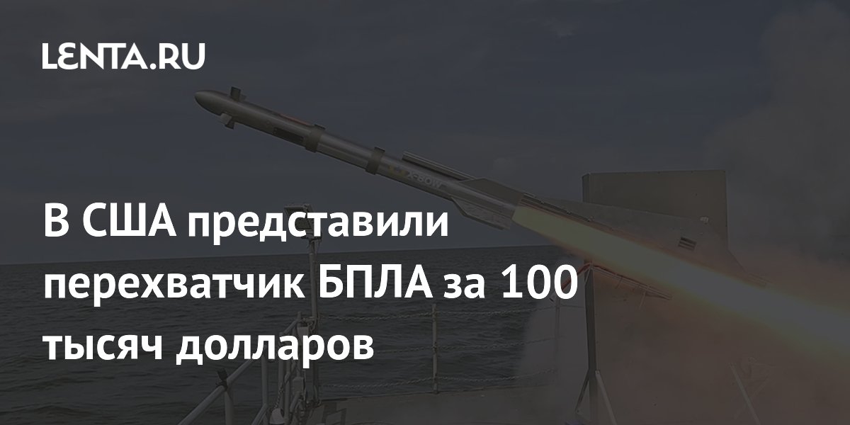 В США представили перехватчик БПЛА за 100 тысяч долларов
