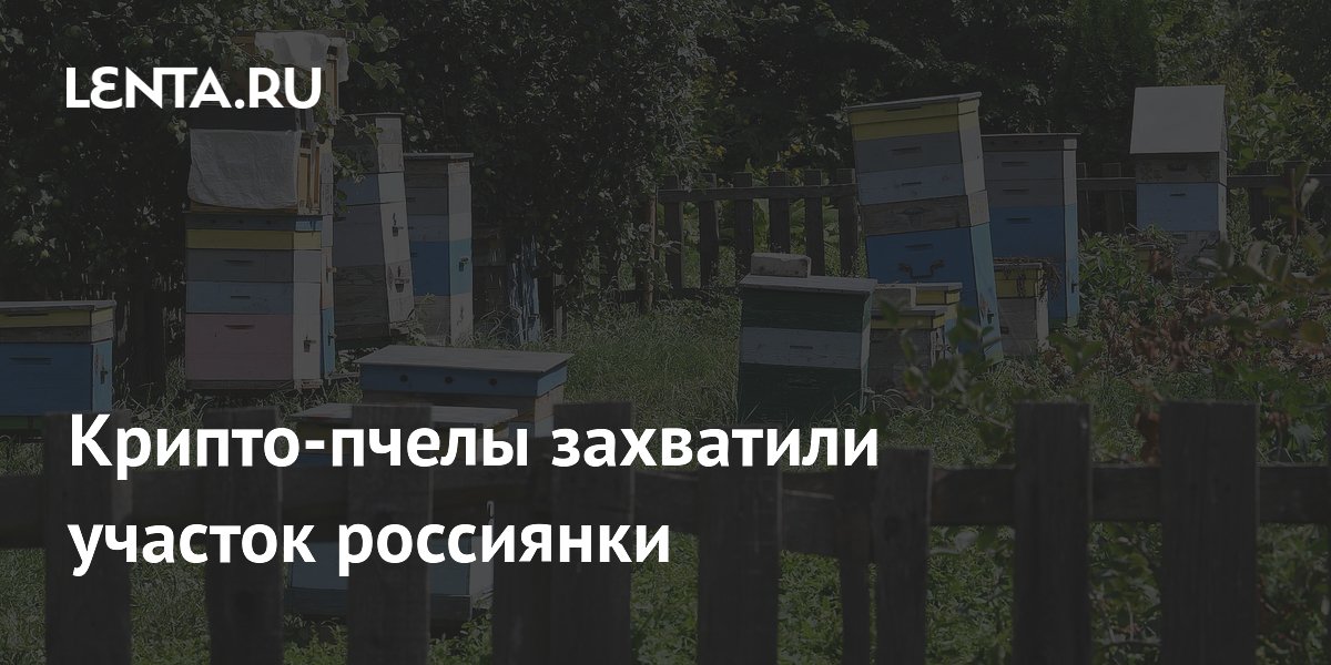 Крипто-пчелы захватили участок россиянки