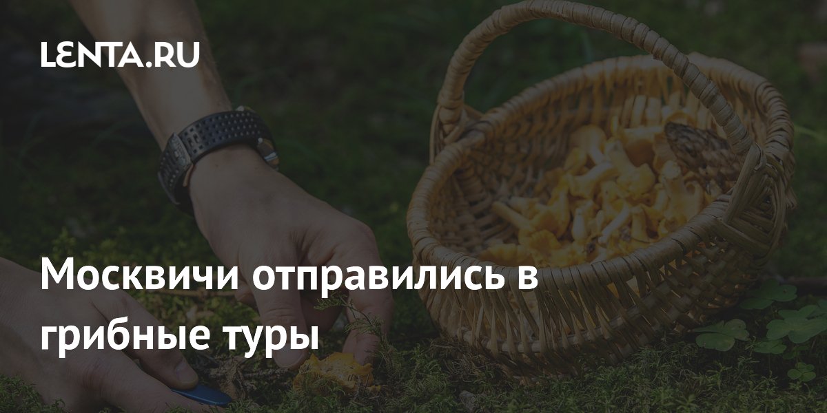 Москвичи отправились в грибные туры
