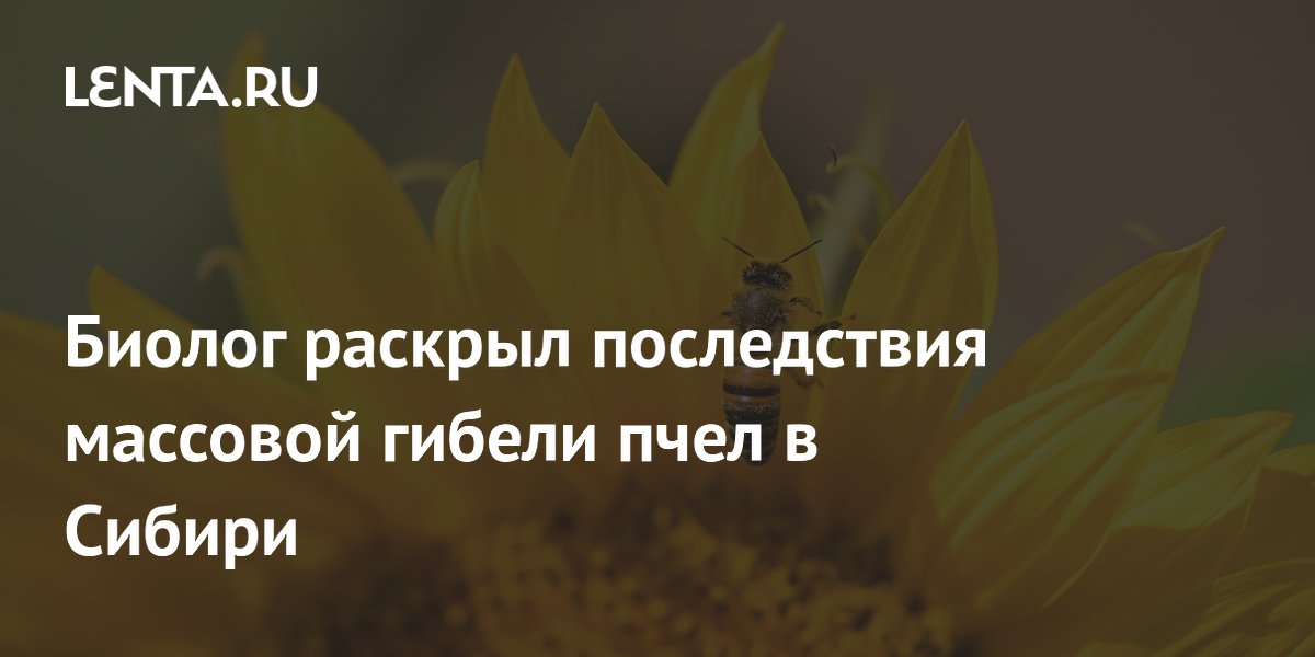 Биолог раскрыл последствия массовой гибели пчел в Сибири