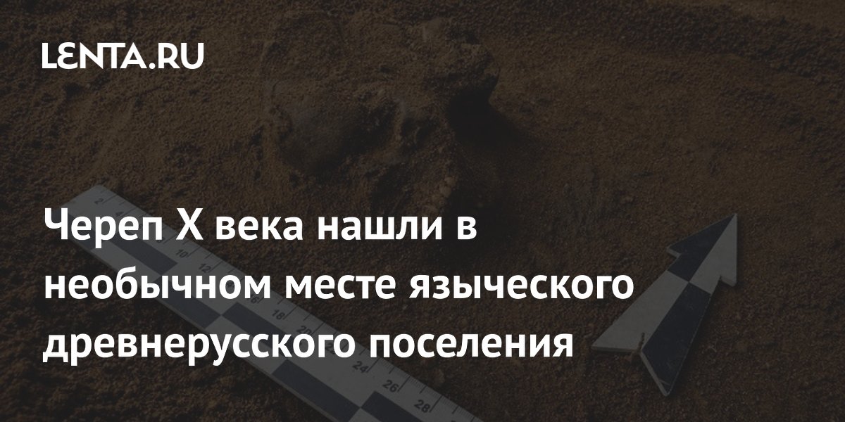Череп X века нашли в необычном месте языческого древнерусского поселения