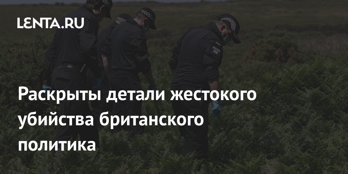 Раскрыты детали жестокого убийства британского политика