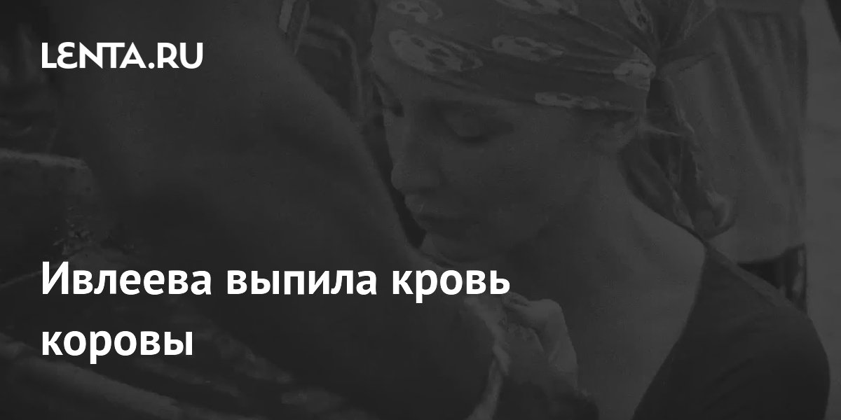Ивлеева выпила кровь коровы