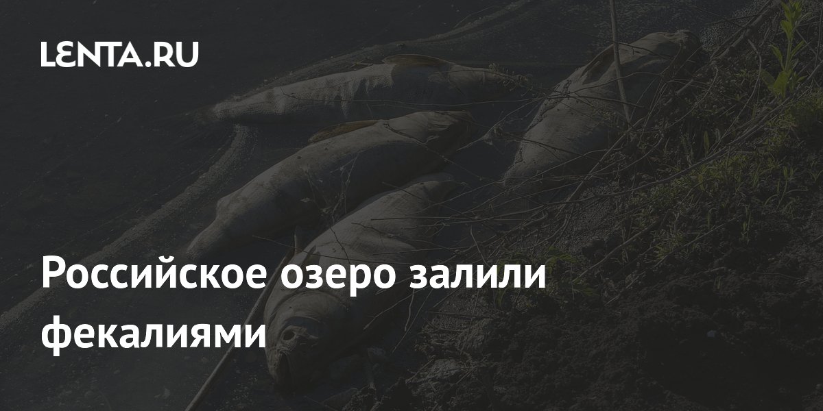 Российское озеро залили фекалиями