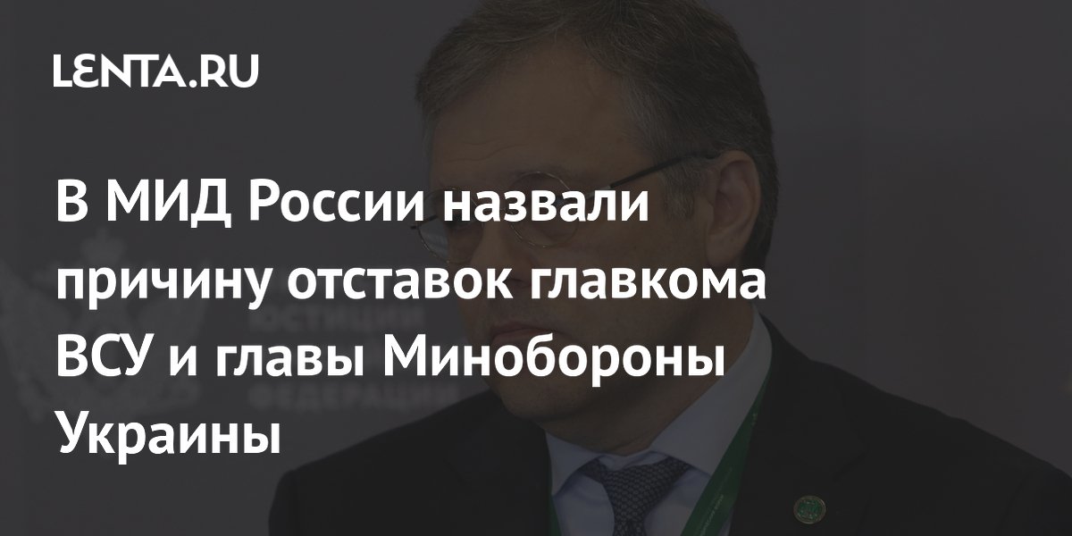 В МИД России назвали причину отставок главкома ВСУ и главы Минобороны Украины
