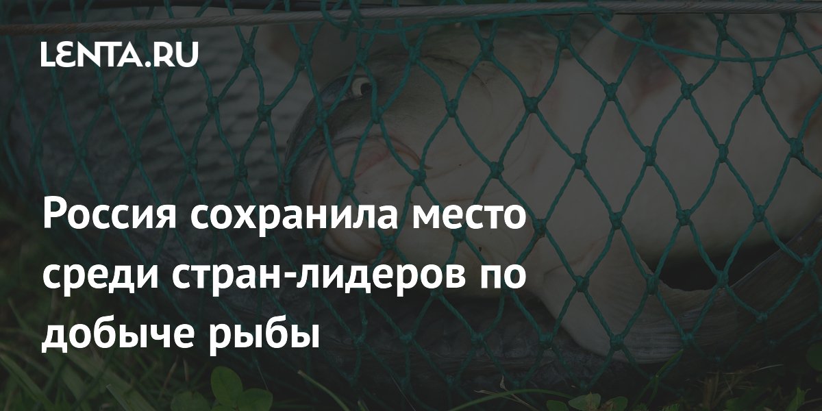 Россия сохранила место среди стран-лидеров по добыче рыбы