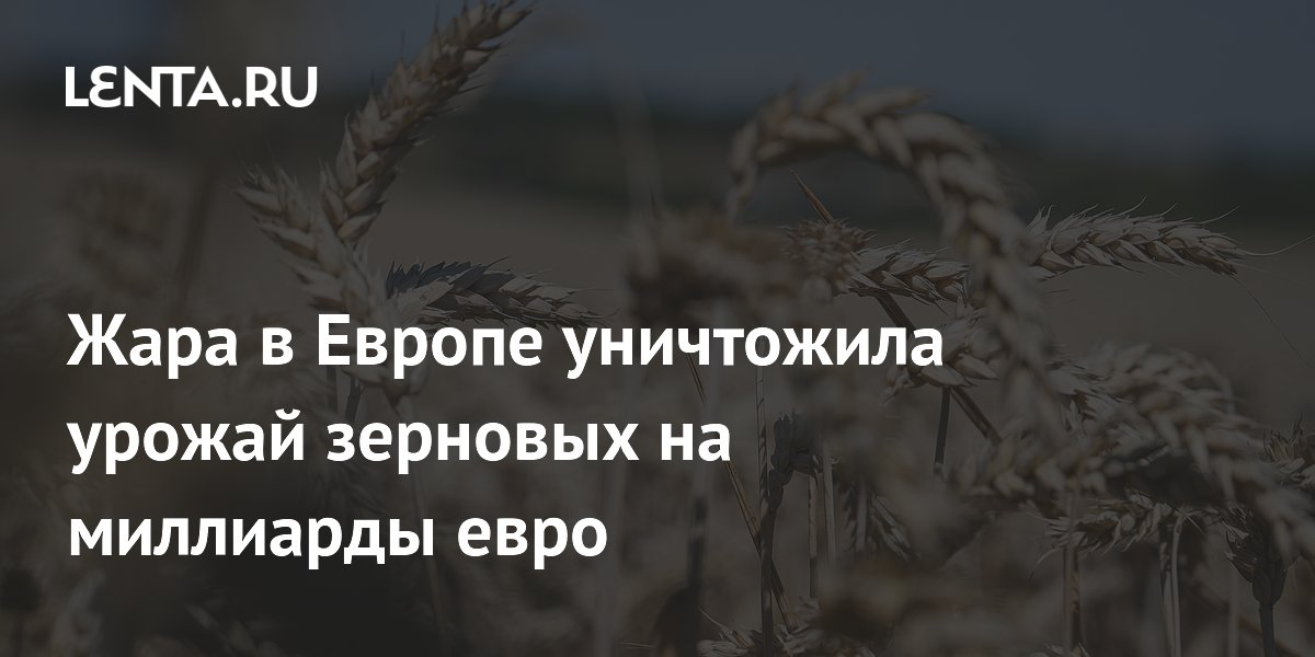 Жара в Европе уничтожила урожай зерновых на миллиарды евро