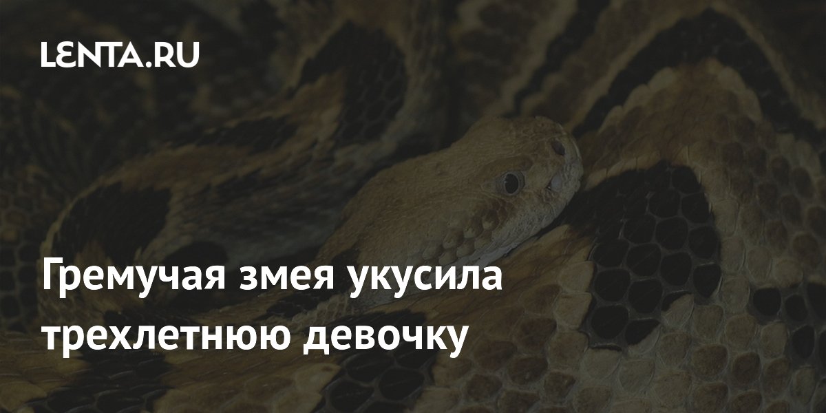 Гремучая змея укусила трехлетнюю девочку