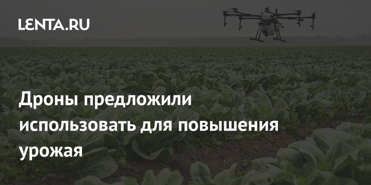 Дроны предложили использовать для повышения урожая