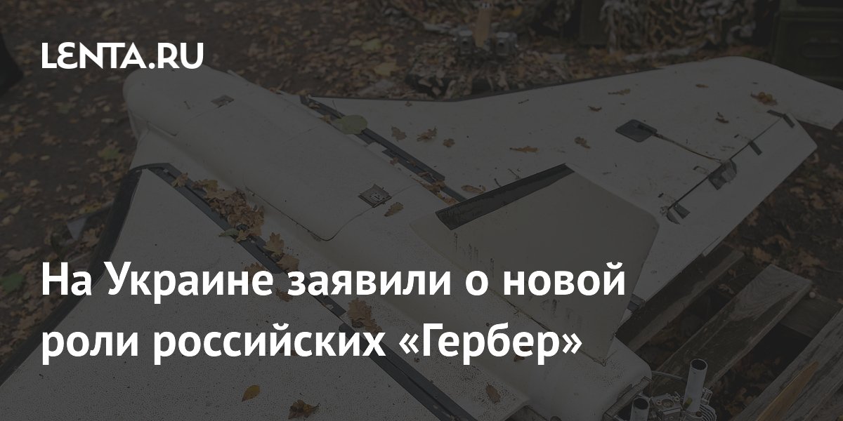 На Украине заявили о новой роли российских «Гербер»
