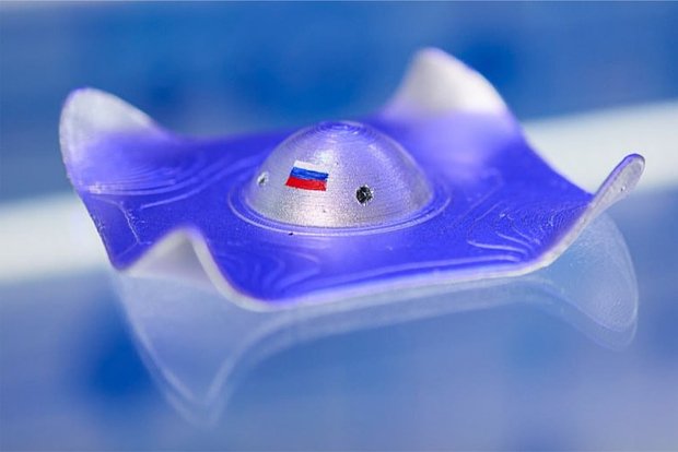 Вводная картинка