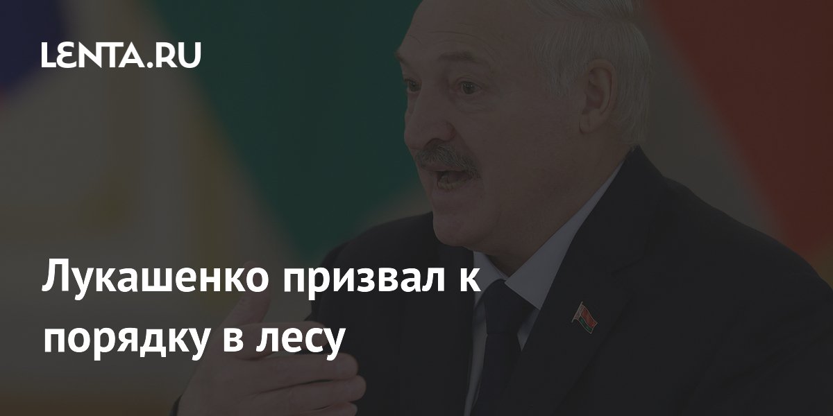 Лукашенко призвал к порядку в лесу