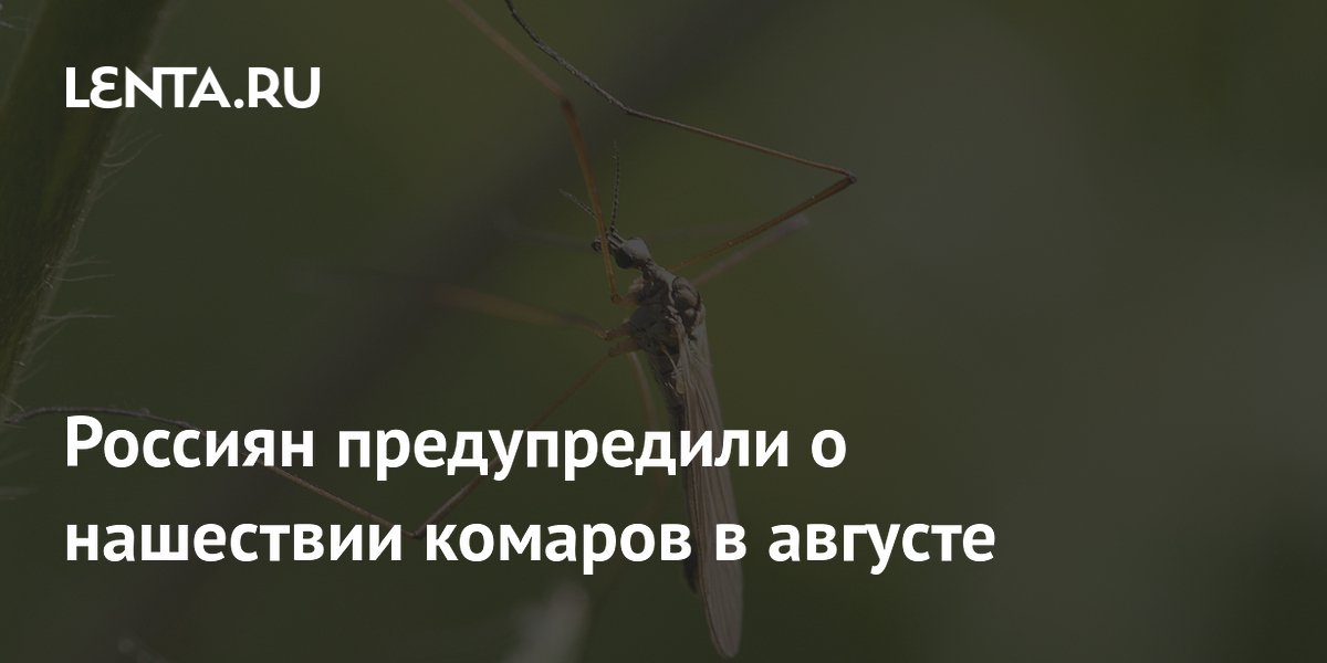 Россиян предупредили о нашествии комаров в августе