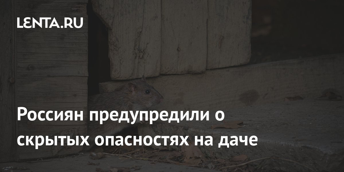 Россиян предупредили о скрытых опасностях на даче