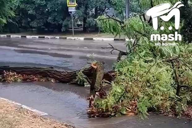 Вводная картинка