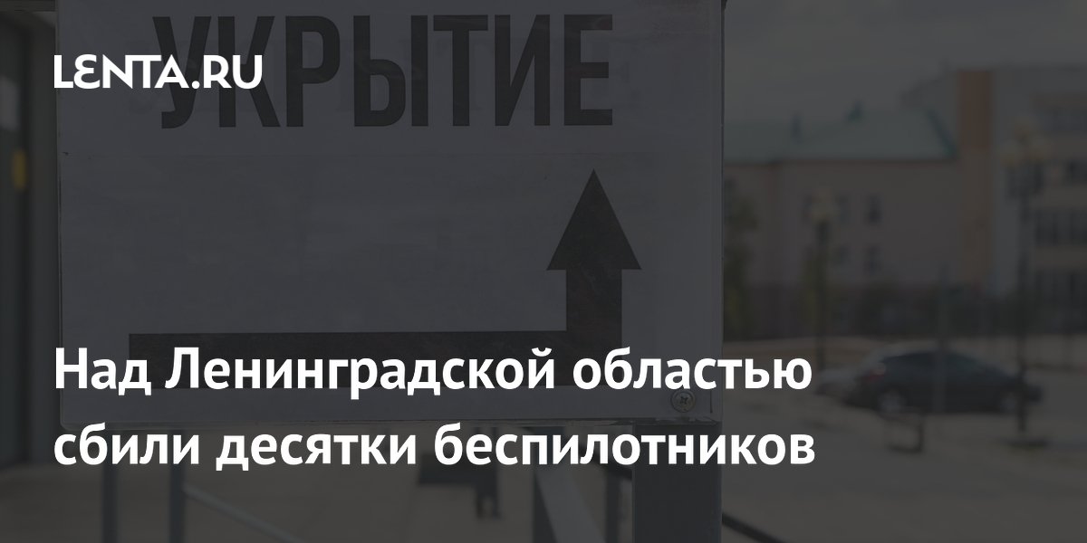 Над Ленинградской областью сбили десятки беспилотников