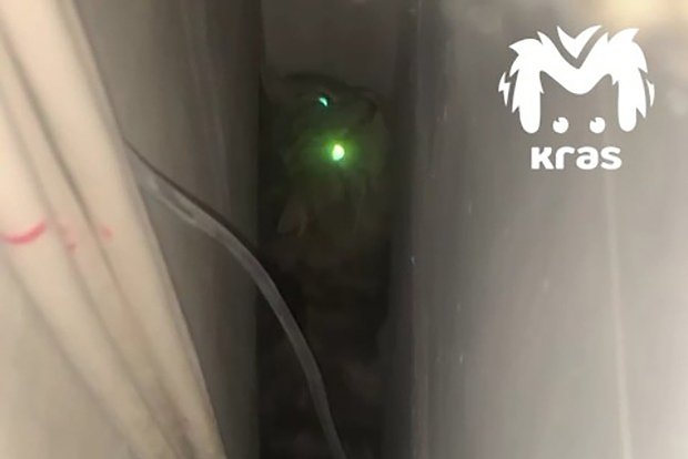 Вводная картинка