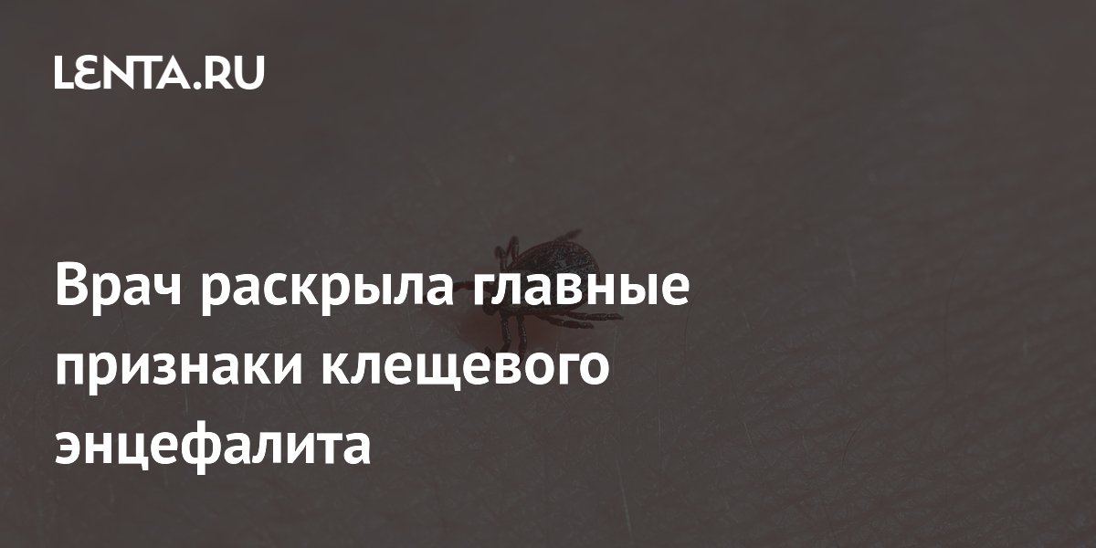 Врач раскрыла главные признаки клещевого энцефалита
