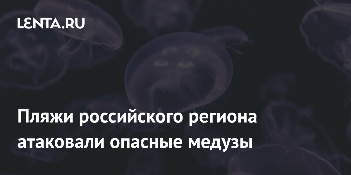 Пляжи российского региона атаковали опасные медузы