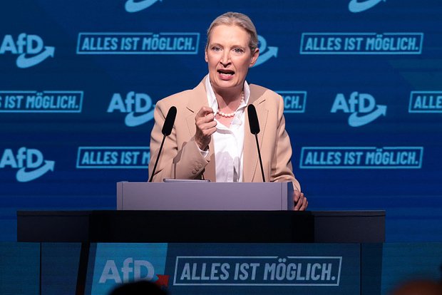 Алиса Вайдель