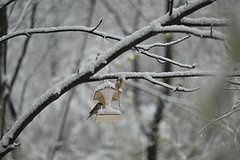 news_image 