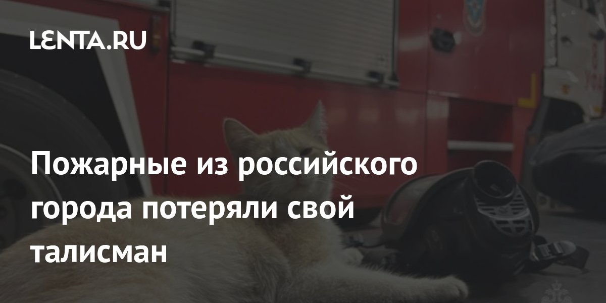 Пожарные из российского города потеряли свой талисман