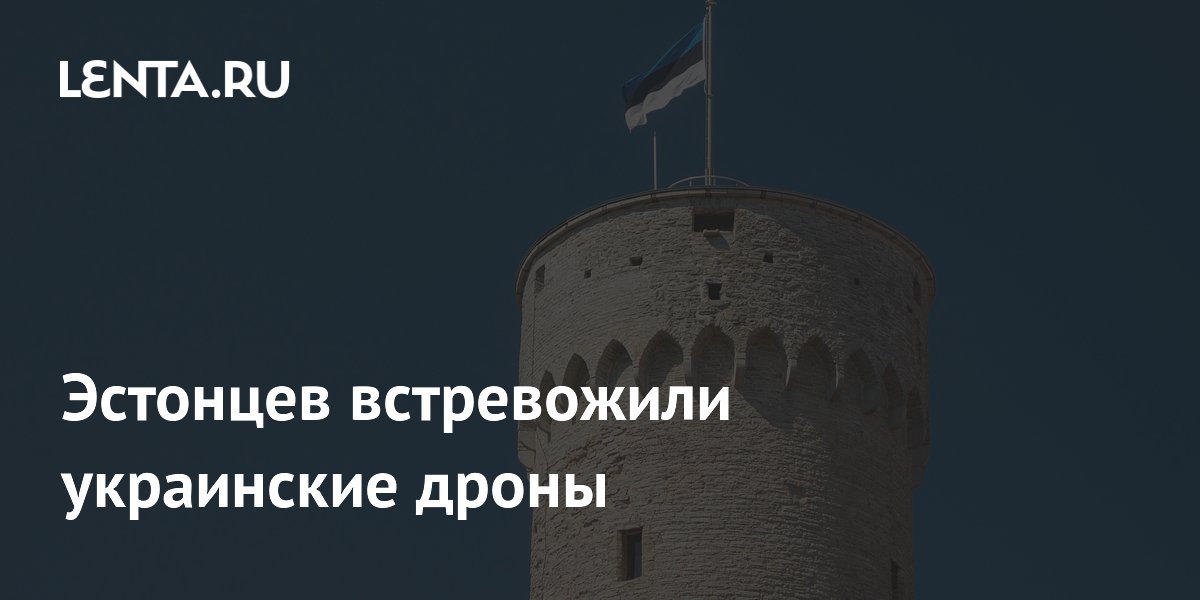 Эстонцев встревожили украинские дроны
