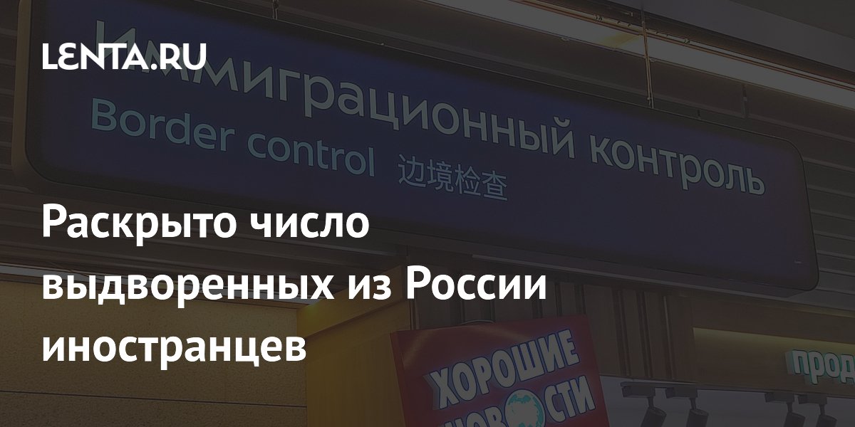 Раскрыто число выдворенных из России иностранцев