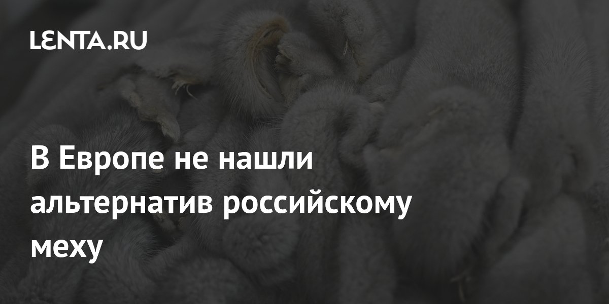 В Европе не нашли альтернатив российскому меху