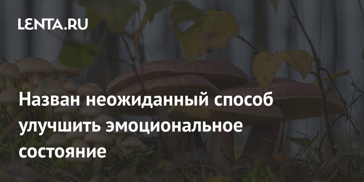 Назван неожиданный способ улучшить эмоциональное состояние