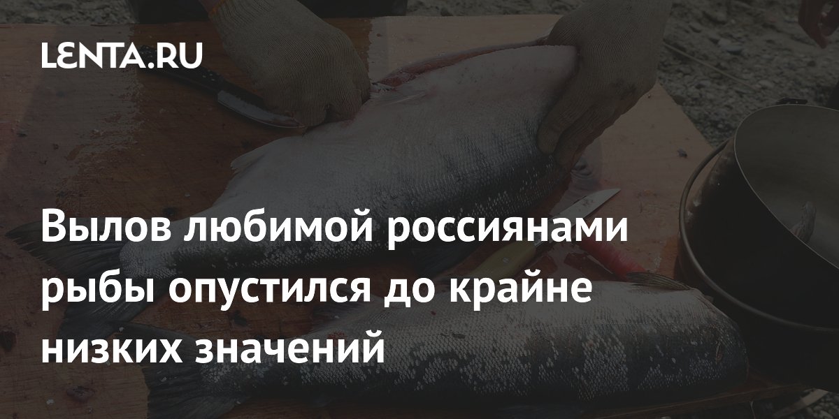 Вылов любимой россиянами рыбы опустился до крайне низких значений