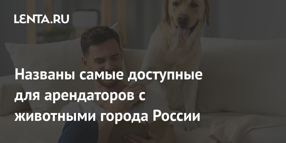 Названы самые доступные для арендаторов с животными города России