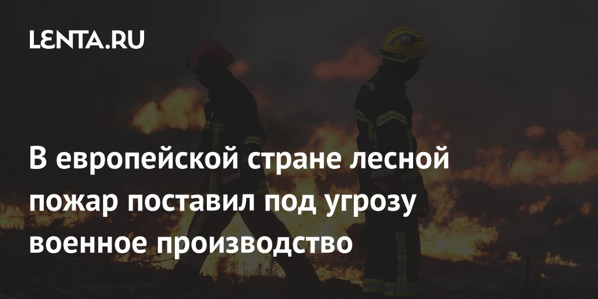 В европейской стране лесной пожар поставил под угрозу военное производство